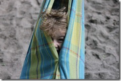 IMG_0253 IMG_0253