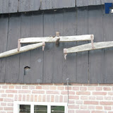 neeth 031.jpg