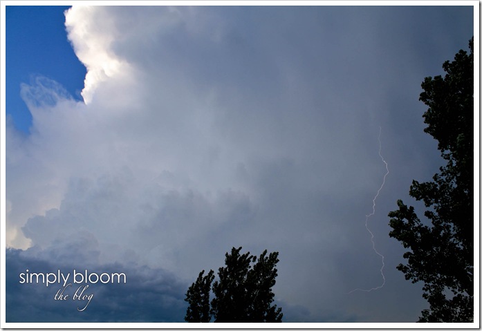 lightning (1 of 1)
