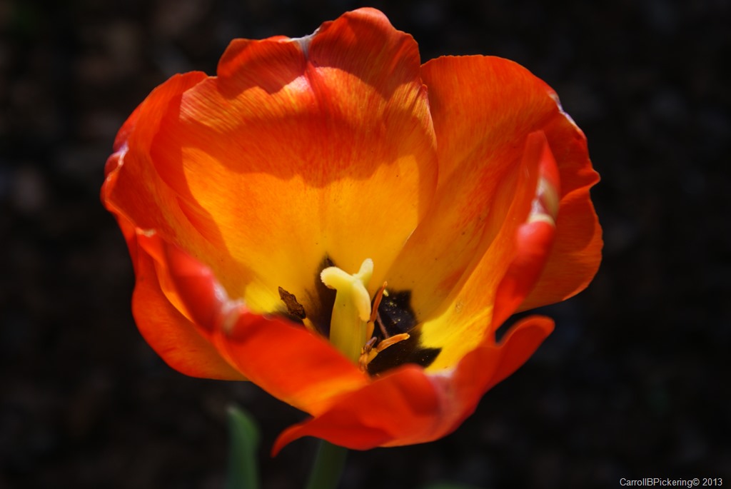 [DSC03425%255B12%255D.jpg]