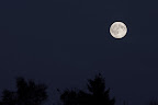 Vollmond Westerbeck