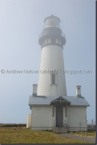 DSC_0798 DSC_0798