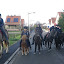 2011-11-30 obstacles Mamy et les plus jeunes...