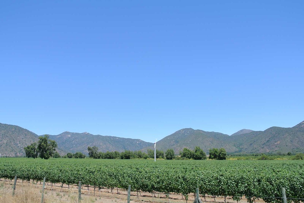 [DSC_8764%255B3%255D.jpg]