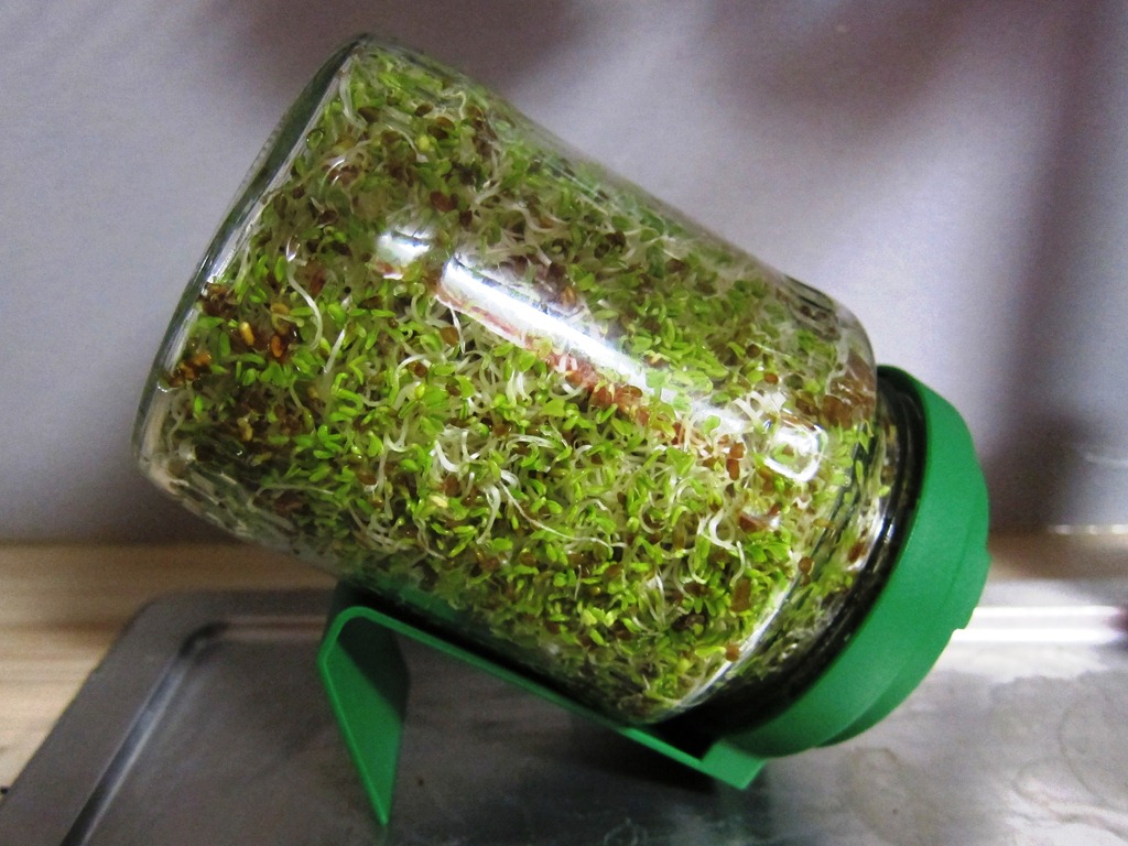 [IMG_1880%255B2%255D.jpg]