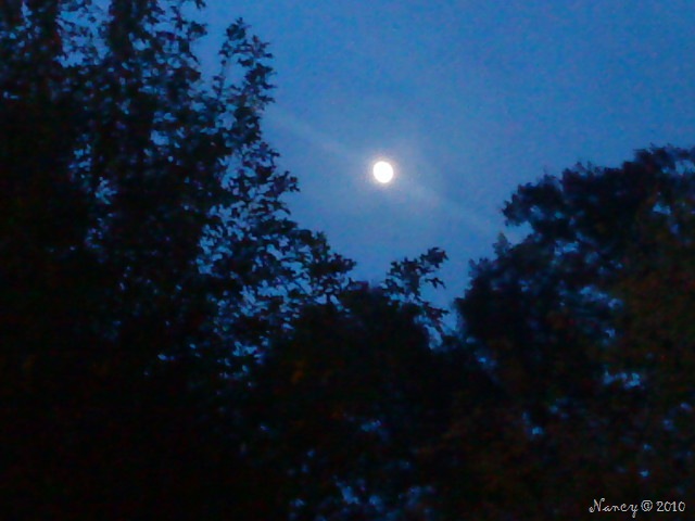 [DSC00116%255B9%255D.jpg]