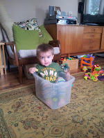 2011-12-03 09.39.15.jpg