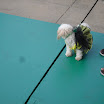 SDC11411.JPG