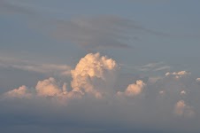 DSC_1221.JPG
