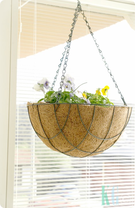 hanging kitchen planters