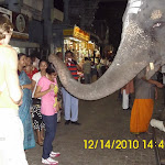 Индия 2010 278.jpg