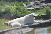 DSC_0127-1.JPG