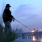 20061125160823__PB252463.JPG