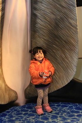 IMG_6661 IMG_6661