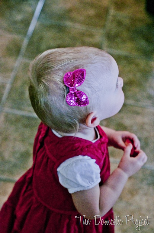 [DSC_1889%255B3%255D.jpg]
