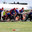 20110717_velke_hostice_043.jpg