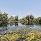 DSCN9654.JPG