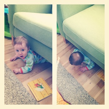 20130423 under the couch (6)