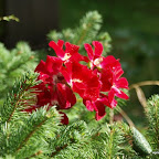 20100825_144_small.JPG
