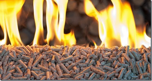 Biomasa je obnovljivi izvor energije
