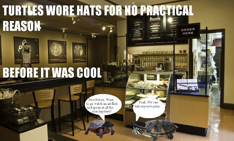 Turtles wore hats for no practical reason before it was cool