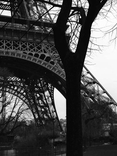 Film-120-#16--12