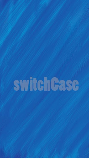 SwitchCase Password Analyzer