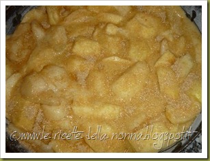 Torta di mele e pere con farina semintegrale e zucchero di canna (9)
