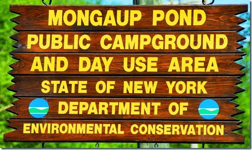 Mongaup Pond Sign