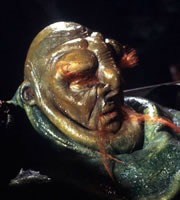 hitchhikers_guide_vorgon