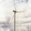image4.jpg