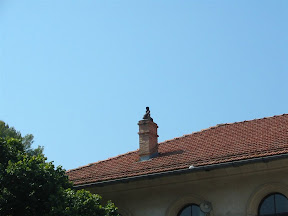 IMG_0116.jpg
