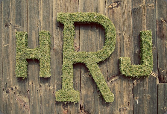 Justin and Holly's Wedding 161 sweet pea floral design Justin and Holly's Wedding 161 sweet pea floral design