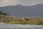 DSC_2756.JPG
