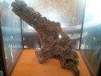 2012-02-05 14.02.17.jpg