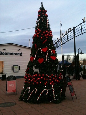 IMG_0390 IMG_0390