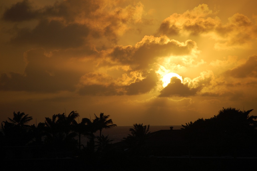 [DSC_0043%255B4%255D.jpg]
