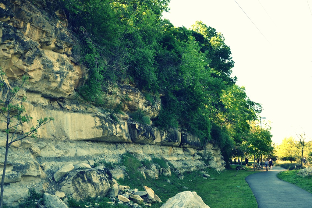 [DSC_0013-1%255B3%255D.jpg]