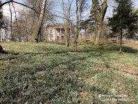 pole przebiśniegów pole przebiśniegów