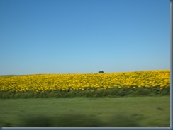 DSCN0714