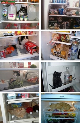 [viral-picdump-pics-56%255B2%255D.jpg]