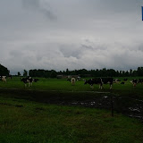IMGP6515.JPG