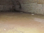 IMG_1622.jpg