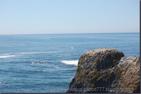 DSC_0724 DSC_0724