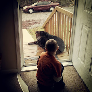 Grandboy and a stray dog