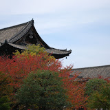 DSC_0254.JPG