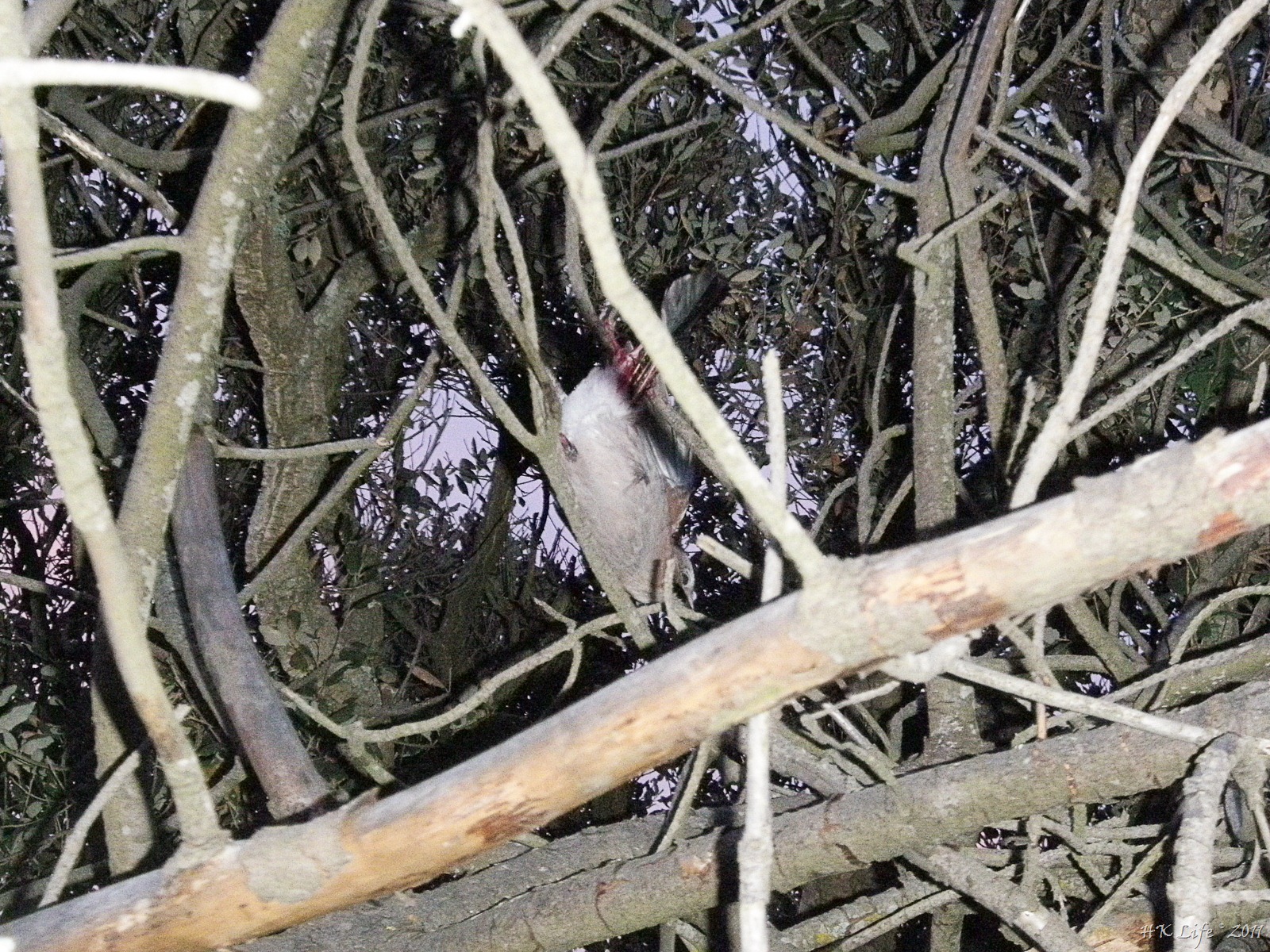 [P4142052%255B3%255D.jpg]