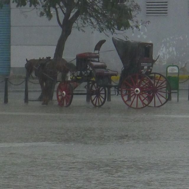 [Havana%2520223%255B2%255D.jpg]