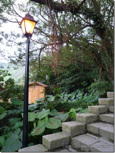 黃金博物館-很美的一張 黃金博物館-很美的一張