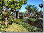 Parque Risco Bello - Puerto de la Cruz - 6 Foto Wolfgang Parque Risco Bello - Puerto de la Cruz - 6 Foto Wolfgang